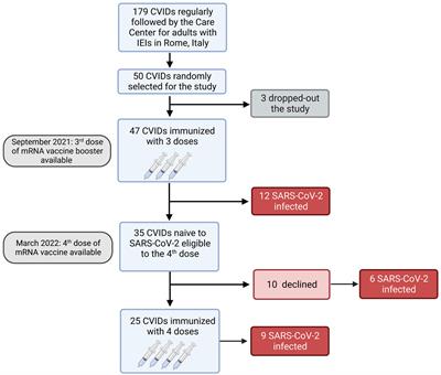 Functional CVIDs phenotype clusters identified by the integration of immune parameters after BNT162b2 boosters